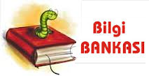 bilgi bilgi