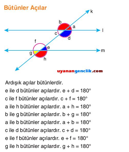 7. Sınıf Matematik - Doğruda Açılar - Konu Anlatımı - Doğrular ve Açılar