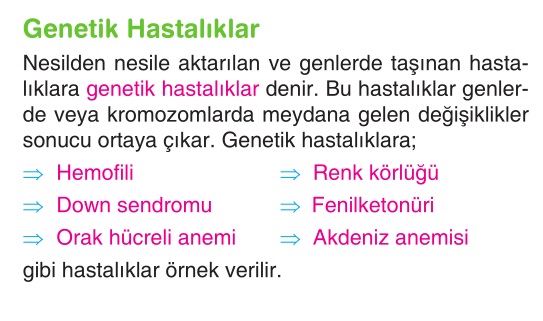 Genetik analize giriş 10. baskı pdf ücretsiz indir
