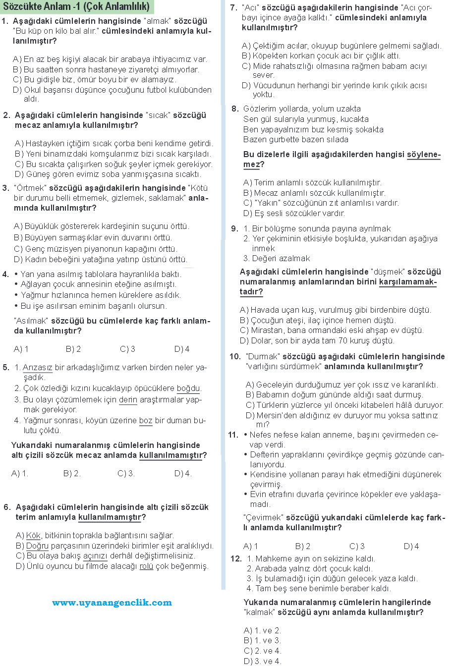 6.Sınıf Türkçe - Çok Anlamlılık - Konu Testi